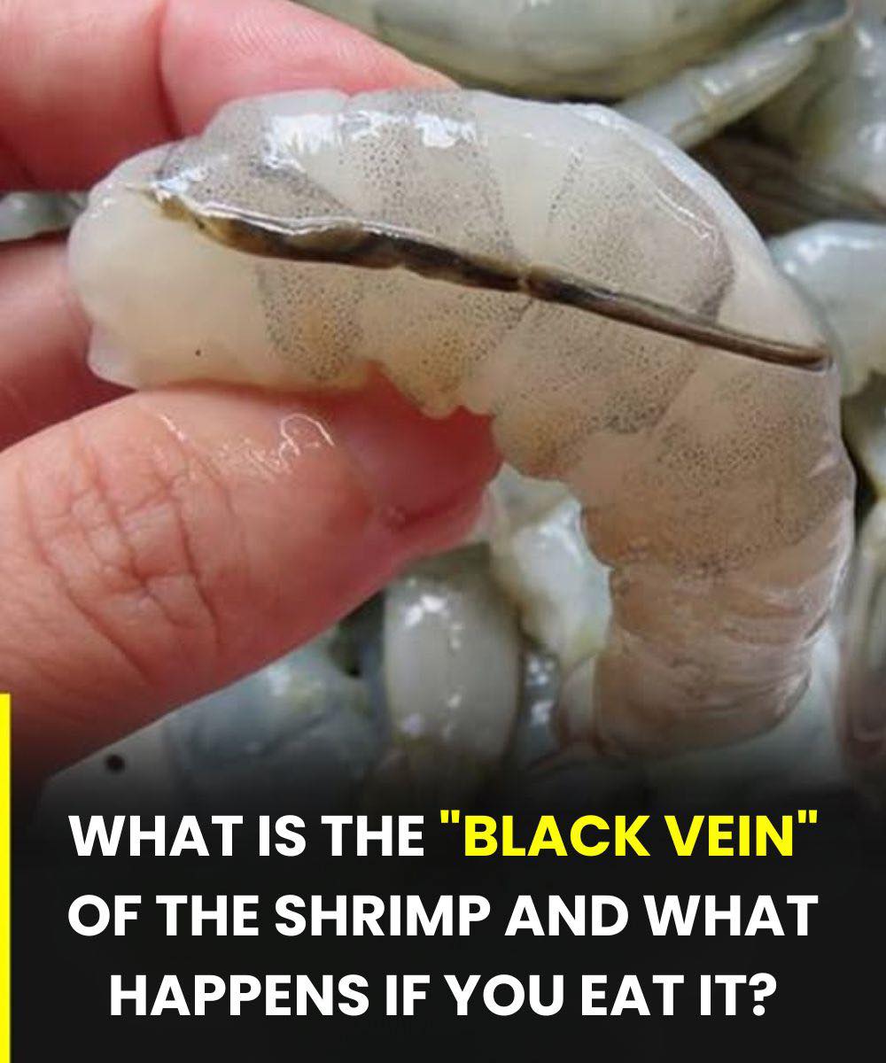The vein of the shrimp! the culinary detail that few know and many discuss