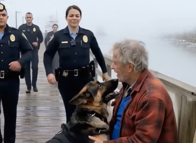 An Elderly Man Sat Alone on a Foggy Pier, Then a Police Dog Ran Straight to Him and Transformed the Moment