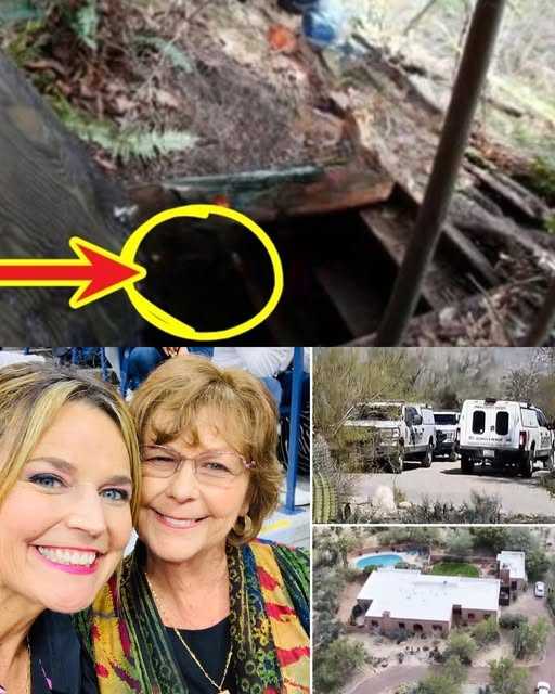 MIRACULOUS SURVIVAL IN A CAVE! After 7 days without food, Nancy Guthrie is allegedly found drinking water dripping from stalactites, her first words, Do Not trust!