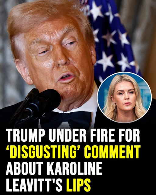 Trump under fire for disgusting comment about Karoline Leavitts lips!